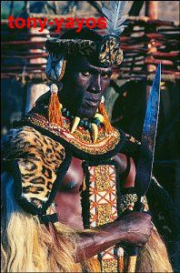 shaka zulu